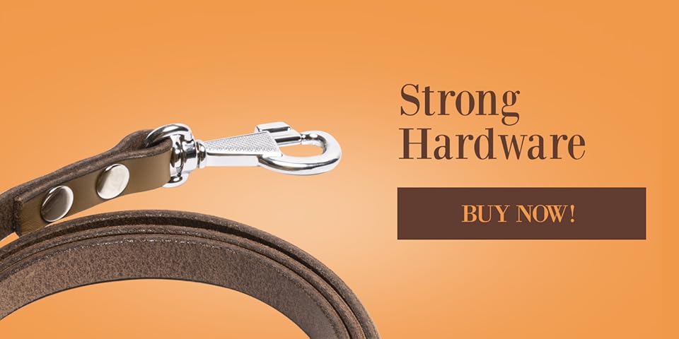 Timeless Leather for Loyal Companions